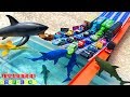 TRANSPORTADOR DE JACKSON STORM CARS 3 CAMPEONATO CON RAYO MCQUEEN Carros De Carrera DISNEY