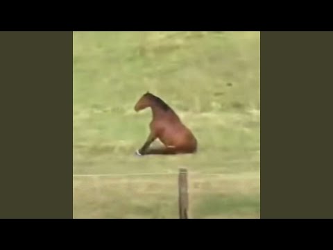 i wish that the earth was smnaller