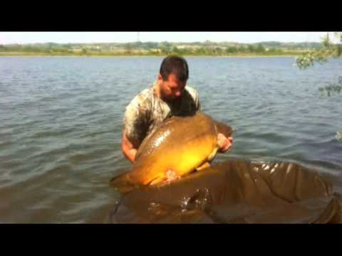 Carp 24-600kg Potnar -Ilovsko Jezero.mpg