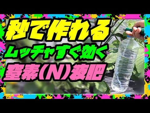 効果的な自家製点滴灌漑を導入するにはどうすればよいですか?自分で組み立てる 5 つ以上の DIY!  庭園