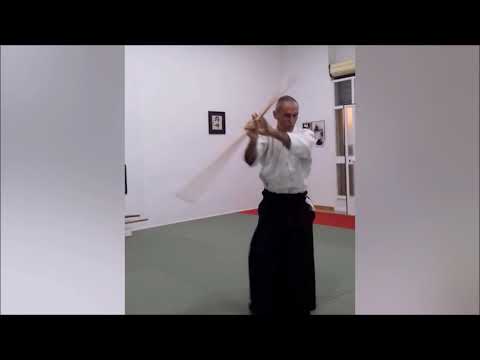 JO Instruction - HASSO GAESHI + 13 JO KATA - Lewis Bernaldo de Quiros - TAKEMUSU AIKIDO