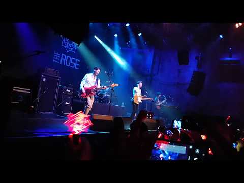 [The Rose Paint It Rose 2018 in Europe: 2nd Coloring in Berlin] The Rose - Like We Used To