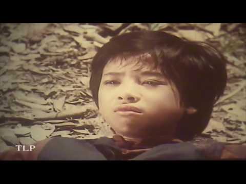 Tây Sơn Hiệp Khách - Trọn bộ