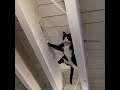 Mission Impossible