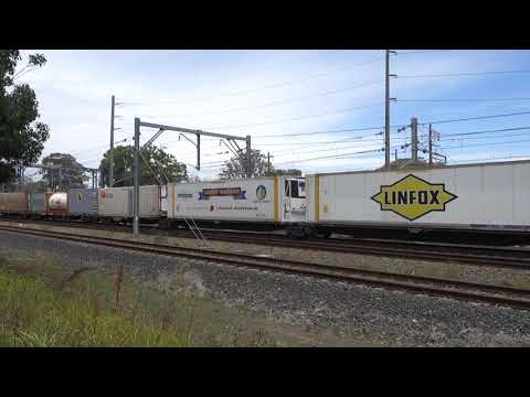 NR19 / AN9 / NR88 with PN 4MB4 - 22/12/22