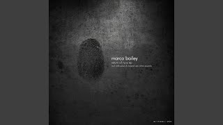 Return Of Ryuu (Conrad Van Orton Mix)