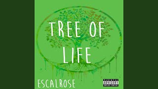 Tree of Life Music Video