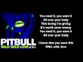 Pitbull Wild Wild Love Official Lyrics Ft G R L