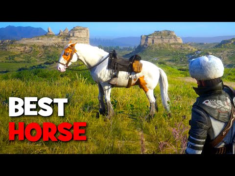 The BEST Horse in Red Dead Online