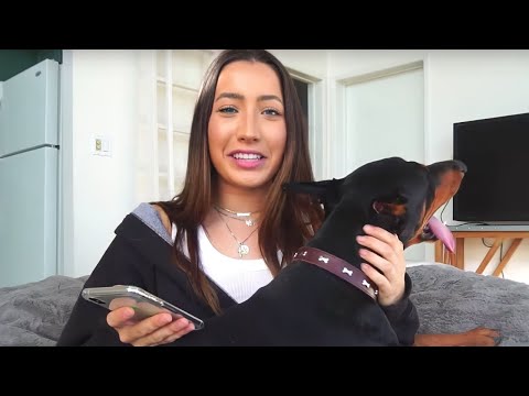This YouTuber is Attracted to Dogs