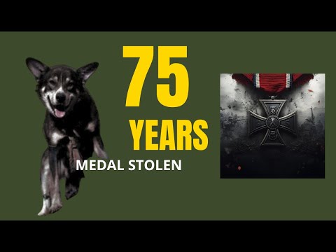 "This War Dog's Medal Was Stolen For 75 Years. Finally Returned in 2018."