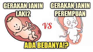 Download lagu Perbedaan Gerakan Janin Laki-laki dan Perempuan!? Ini Faktanya.. mp3 Download lagu Perbedaan Gerakan Janin Laki-laki dan Perempuan!? Ini Faktanya.. mp3