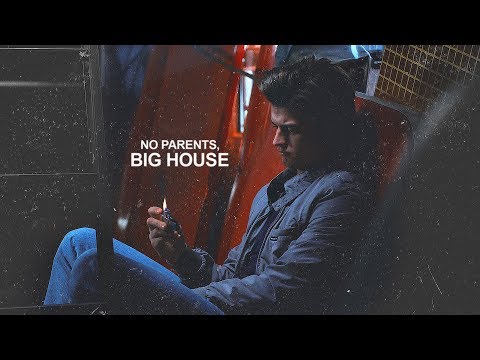 Steve Harrington || No parents, big house