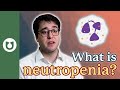 what is neutropenia aml