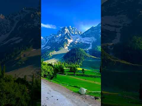 Beauty of Kashmir #kashmir #youtubeshorts
