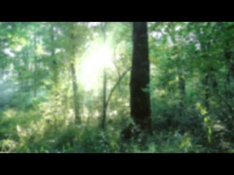 Dj RAD - Come Home (Official FAN Video)