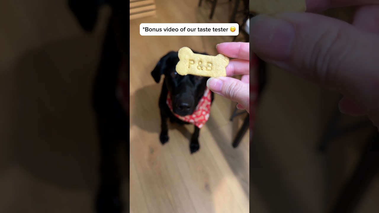 Today’s spotlight is on one of my bestsellers:Peanut Butter & Banana! 🍌🥜 #dogtreats #smallbusiness