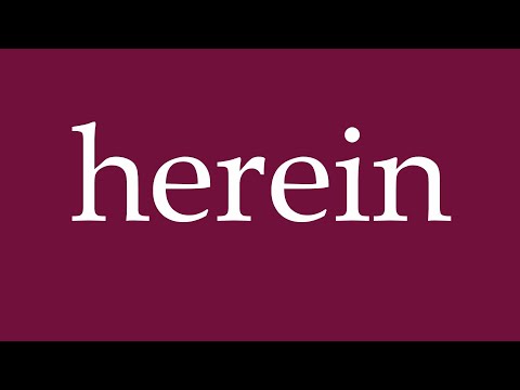 How to Pronounce ''herein'' (come in) Correctly in German