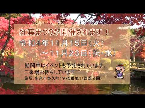 20221115西渓公園～紅葉～（佐賀県多久市）
