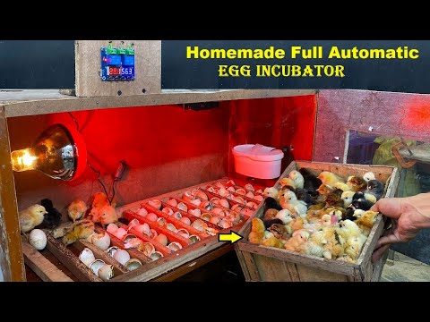 How to make Full Automatic Egg Incubator At  home - Hatch 100 CHICKS