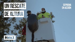 Thumbnail del capítulo