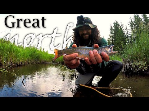 Catch n Cook BEAUTIFUL Brook Trout! DEEP Mountains Saskatchewan