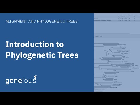 Introduction to Phylogenetic Trees in Geneious Prime