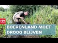 Oplossing om biodiversiteit te verbeteren | ROEG | RTV Drenthe 27 augustus 2021