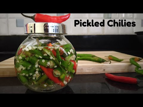 download lagu mp3 mp4 Green Chilli Pickle With Vinegar, download lagu Green Chilli Pickle With Vinegar gratis, unduh video klip Green Chilli Pickle With Vinegar