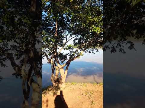 Encontro dos Rio Ivan e Rio Paraná- Querência do Norte Pr