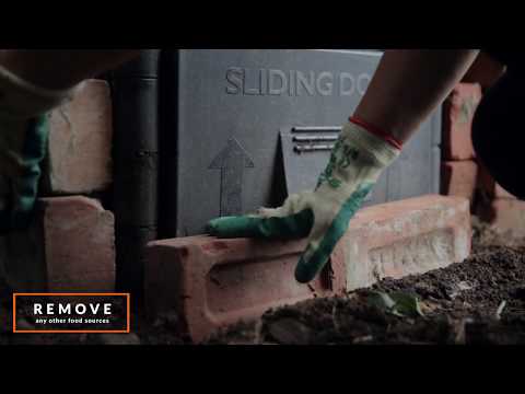 Ratten- und Mausefalle A24 110324