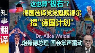 Dr. Alice Weidel presents "Germany-plan"