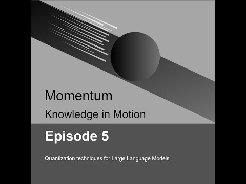 Momentum Episode 5: Quantization techniques for Large Language Models