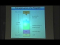 Lecture 10: Dynamic Storage Allocation