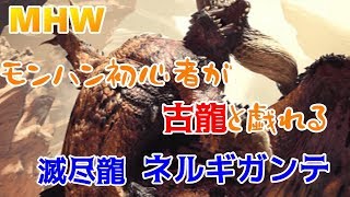 【MHW】モンハン初心者が古龍と戯れる【ネルギガンテ】