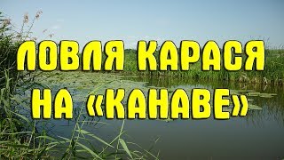 Ловля мелкого карася на поплавочную удочку летом