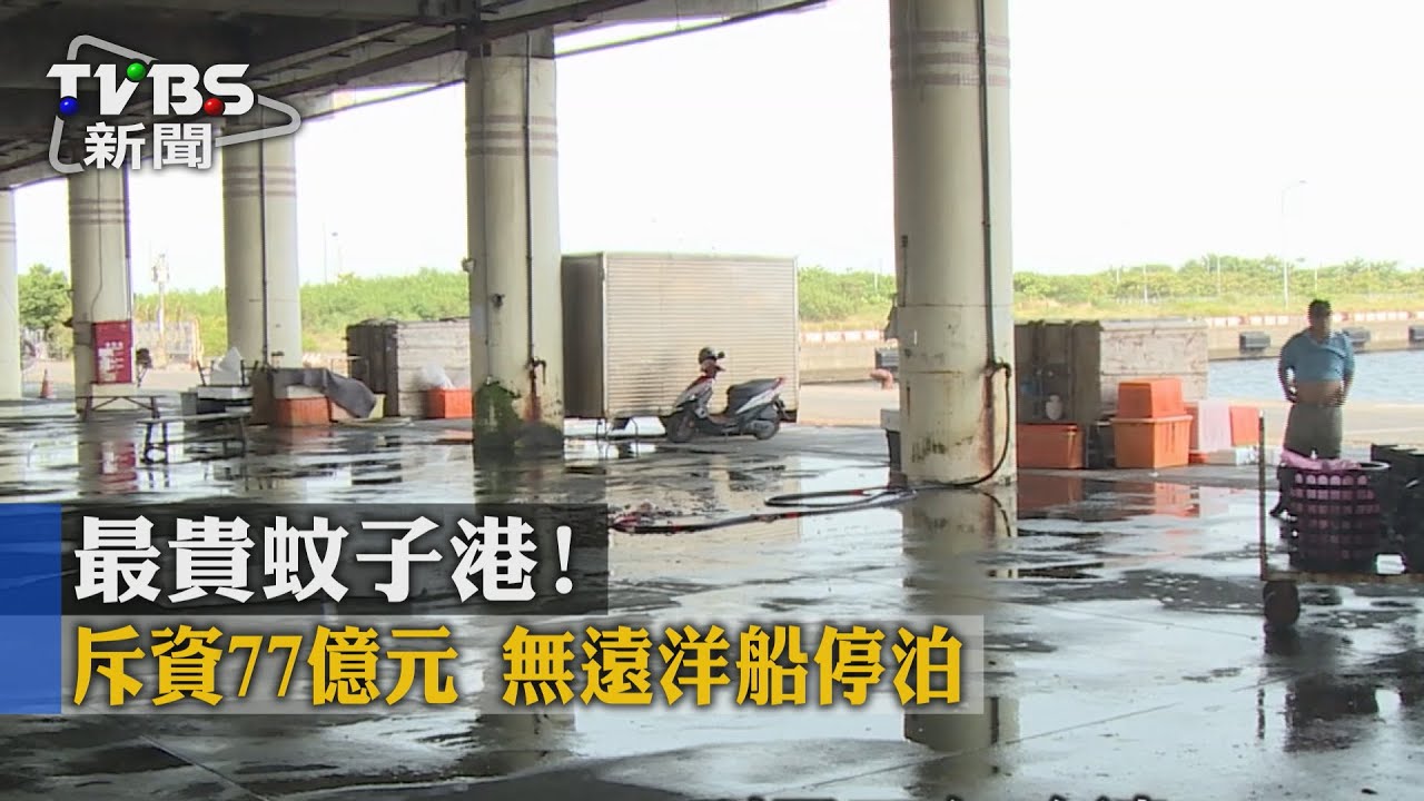 最貴蚊子港!斥資77億元 無遠洋船停泊
