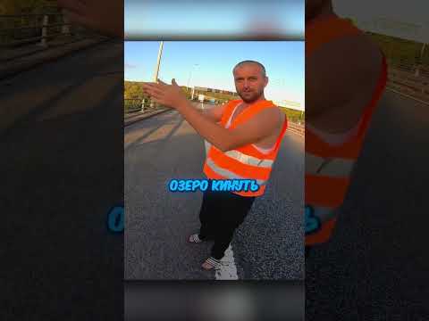 Байкер встретил бедного животного на дороге И СДЕЛАЛ ЭТО...😊 #shorts Байкеру респект