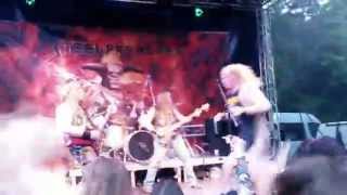 Steelpreacher - Let the blood run red (THOR cover) feat. Didi