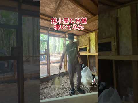 なぜ鶏にお酢を与えるのでしょうか？鶏小屋で何の役に立つの？  庭園