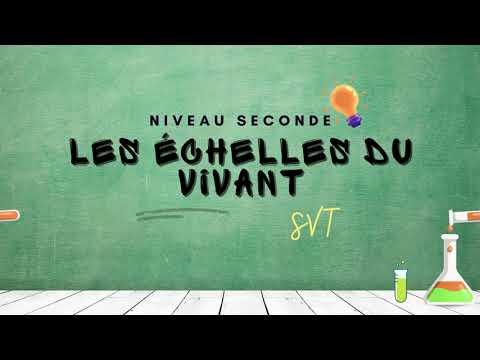 Les échelles du vivant