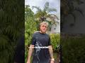 Touring Jake Paul S Rare Car Collection