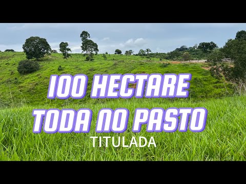 100  HECTARE TITULADA E BOA DE PREÇO NA REGIÃO DE JACUNDÁ PARÁ