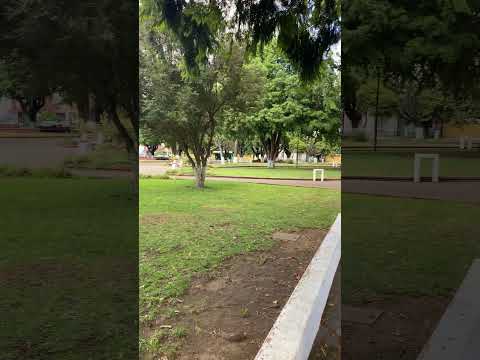 la plaza de Lautaro Araucania chile