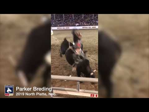 Parker Breding | 2019 North Platte, Neb, | Bull Riding | 83 Points