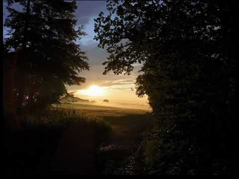 Anagramma Feat. Helen Engels - Phoenix #Anagramma #HelenEngels #Phoenix #KimBe #NuDisco #Summer