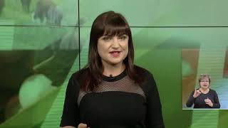 Станица-на-Дону от 13 ноября 2020