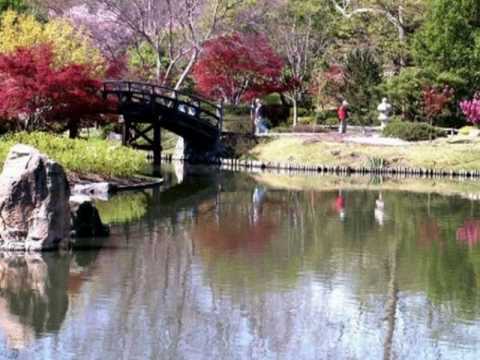 My Choice 391 - Joh. Strauss: Alexandrine Polka Francaise