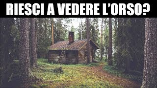 TROVA L'ANIMALE NASCOSTO CHALLENGE! ME CONTRO VOI | VITTORIO LOFFREDO