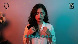 Download lagu Slow Pop Jawa DIDI KEMPOT KALUNG EMAS #tiktok #tiktokviral #viral mp3